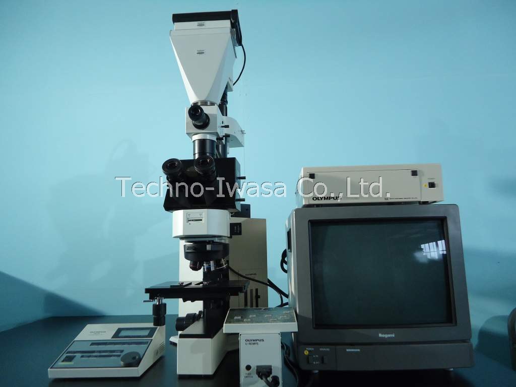 ���ы���������